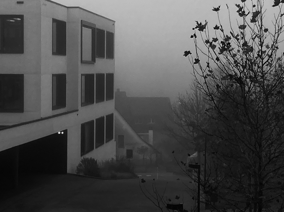 bilder von sarah