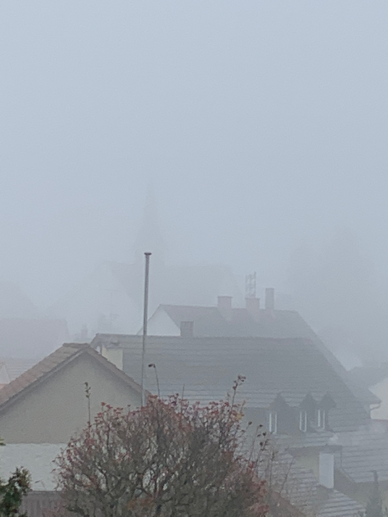 bilder von shana